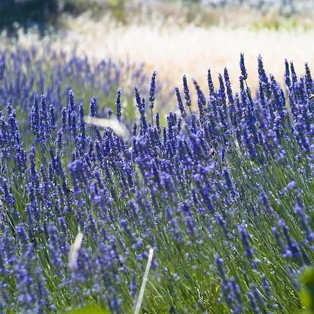 In With Sea View, Balcony, Air Conditioning, Wifi 3560-4