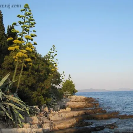 Apartment In With Sea View, Balcony, Air Conditioning, Wifi 3560-4 *